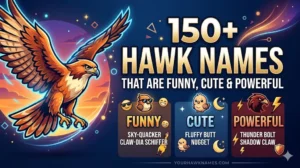 150+ Hawk Names That Are Funny, Cute & Powerful