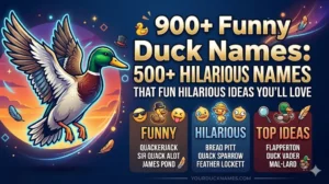 Funny Duck Names: 500+ Hilarious Ideas You’ll Love