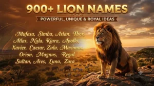 900+Lion Names: Powerful, Unique & Royal Ideas