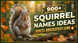 Squirrel Names Ideas You’ll Absolutely Love