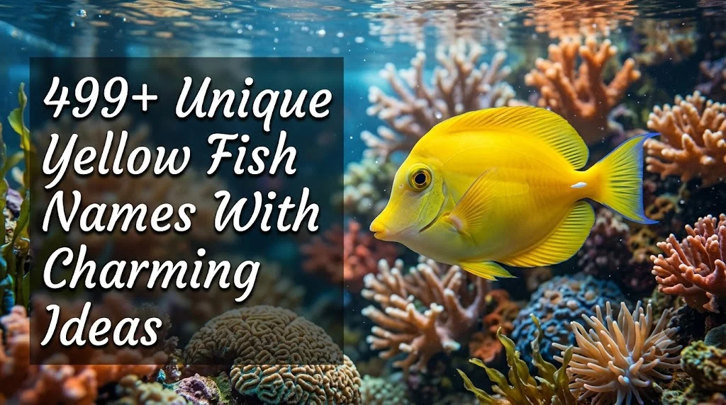 yellow fish names